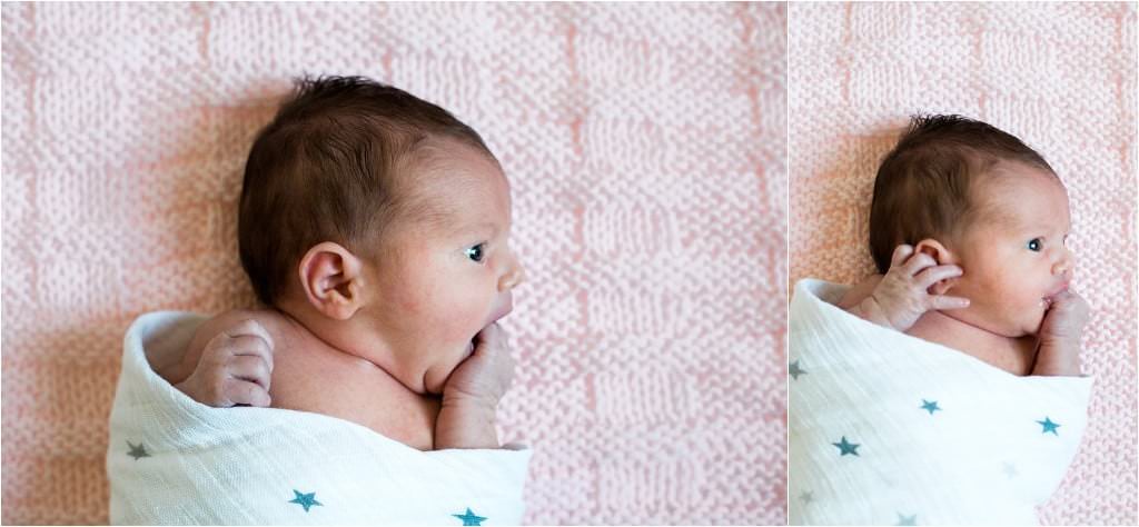 Pittsburgh Newborn Photographer