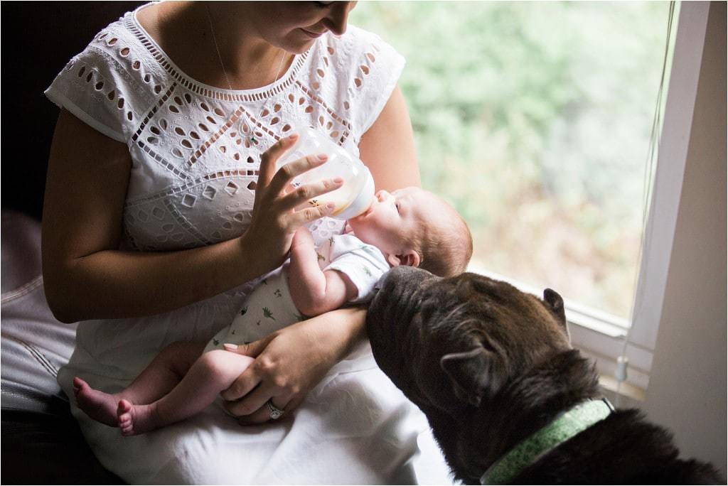 Pittsburgh Newborn Photography