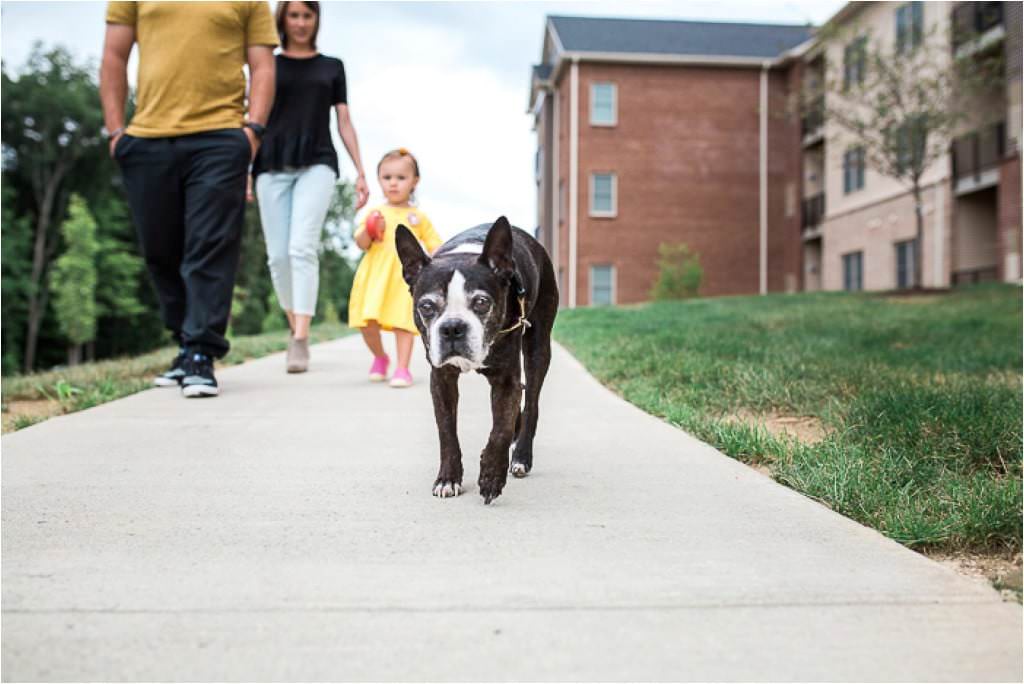 Pittsburgh Family Photography