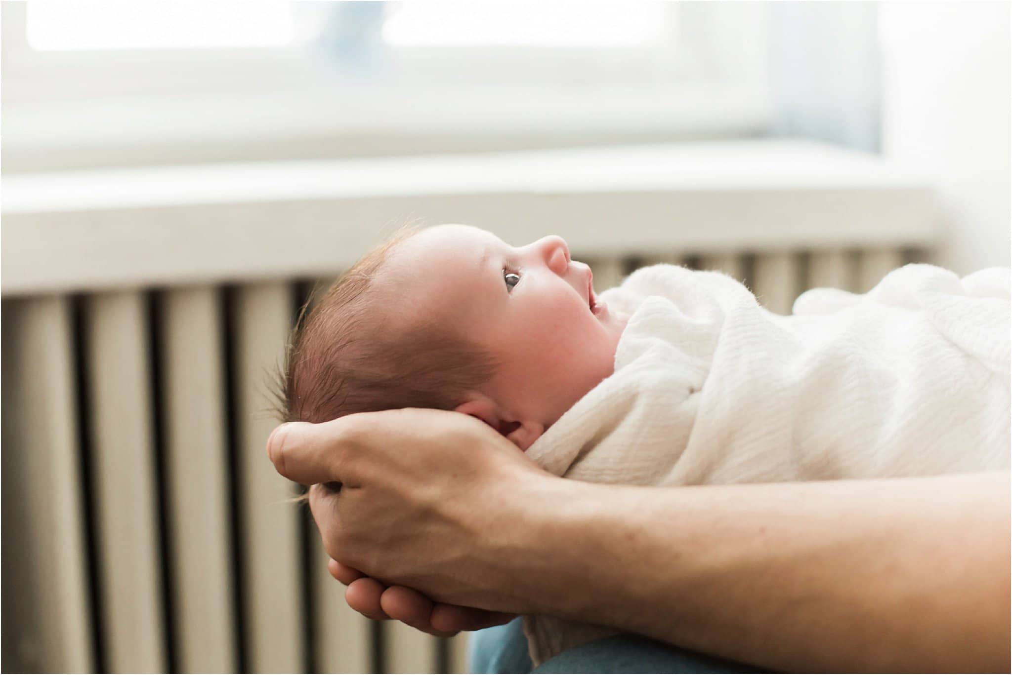 Pittsburgh Newborn Photographer