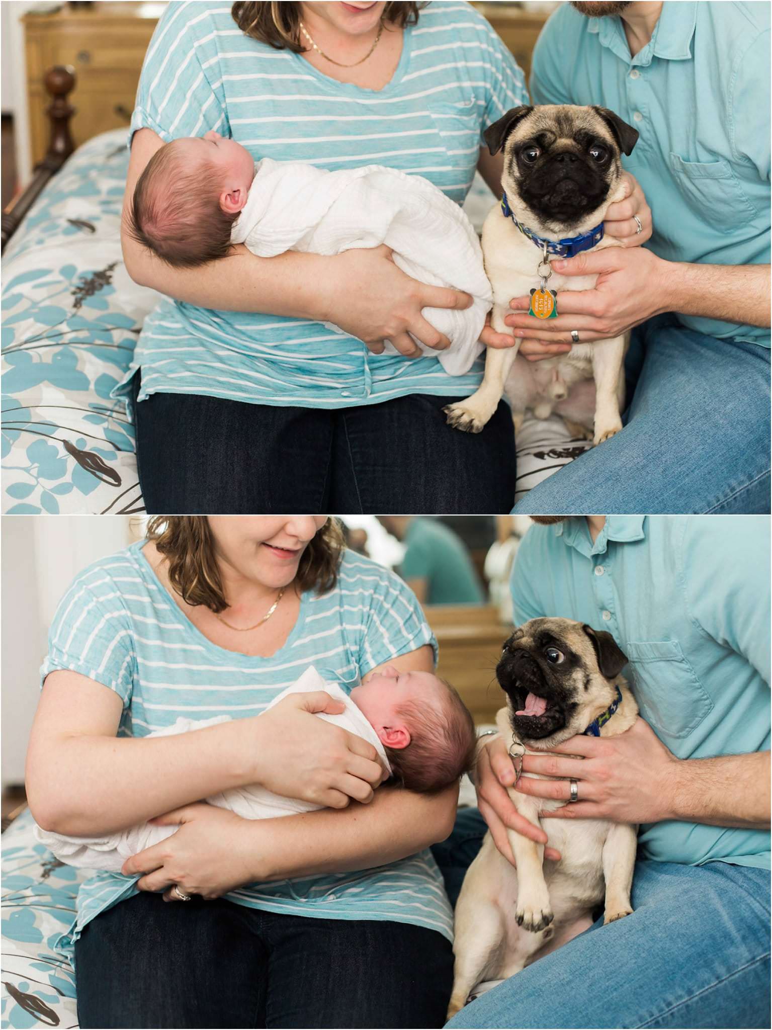 Pittsburgh Newborn Photographer