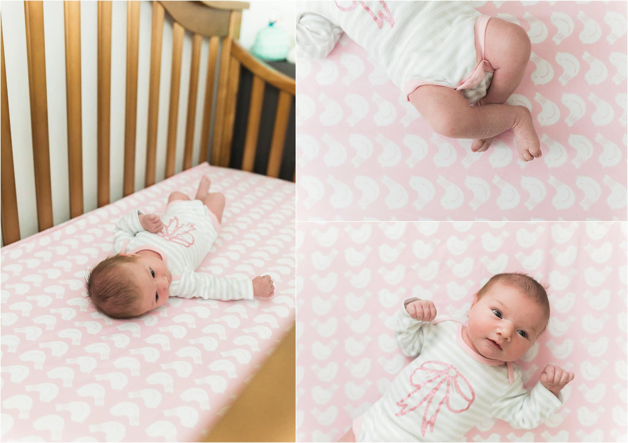 Pittsburgh Newborn Photographer