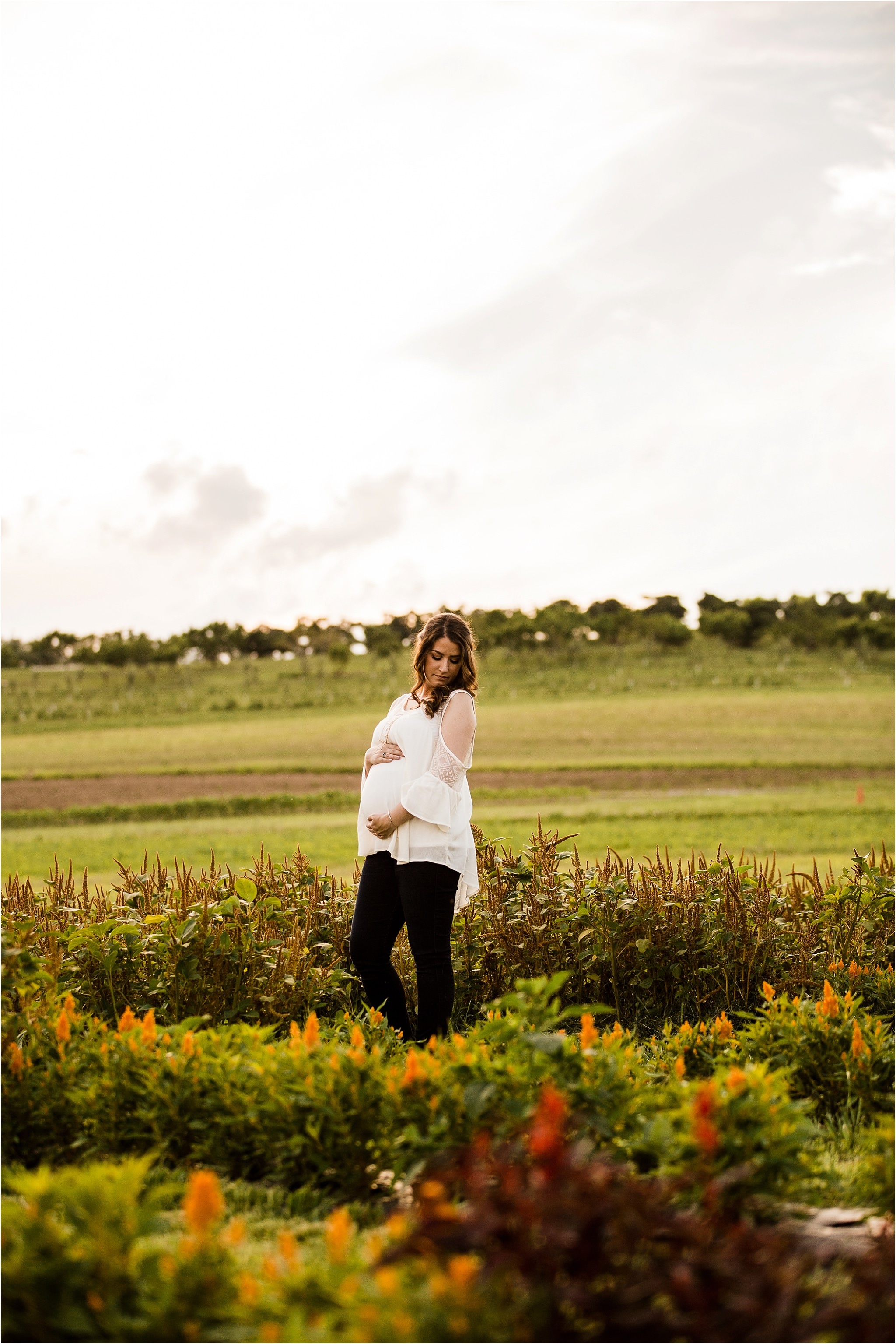 Maternity photos in flower field at Simmons Farm