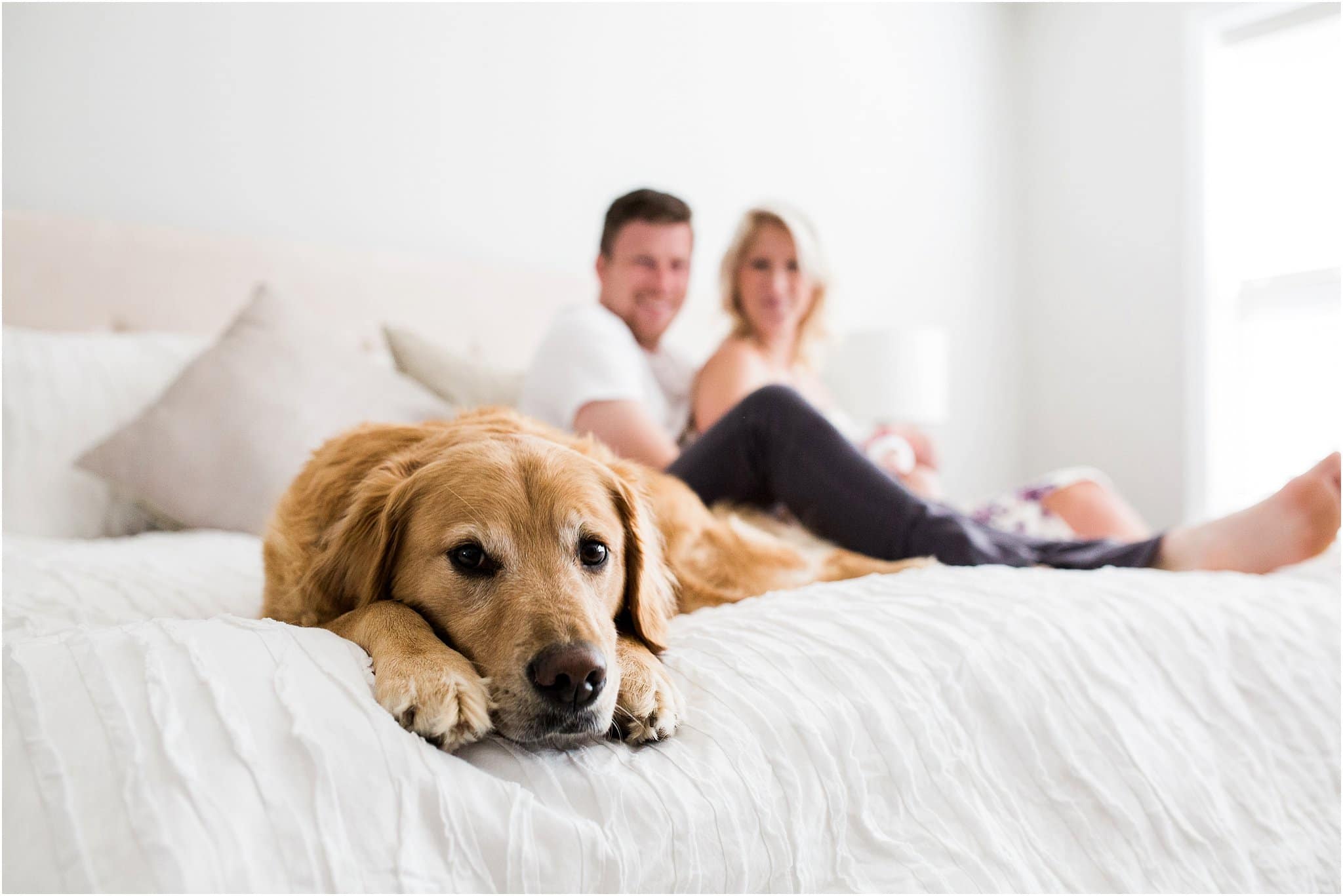 family dog photos at home newborn session