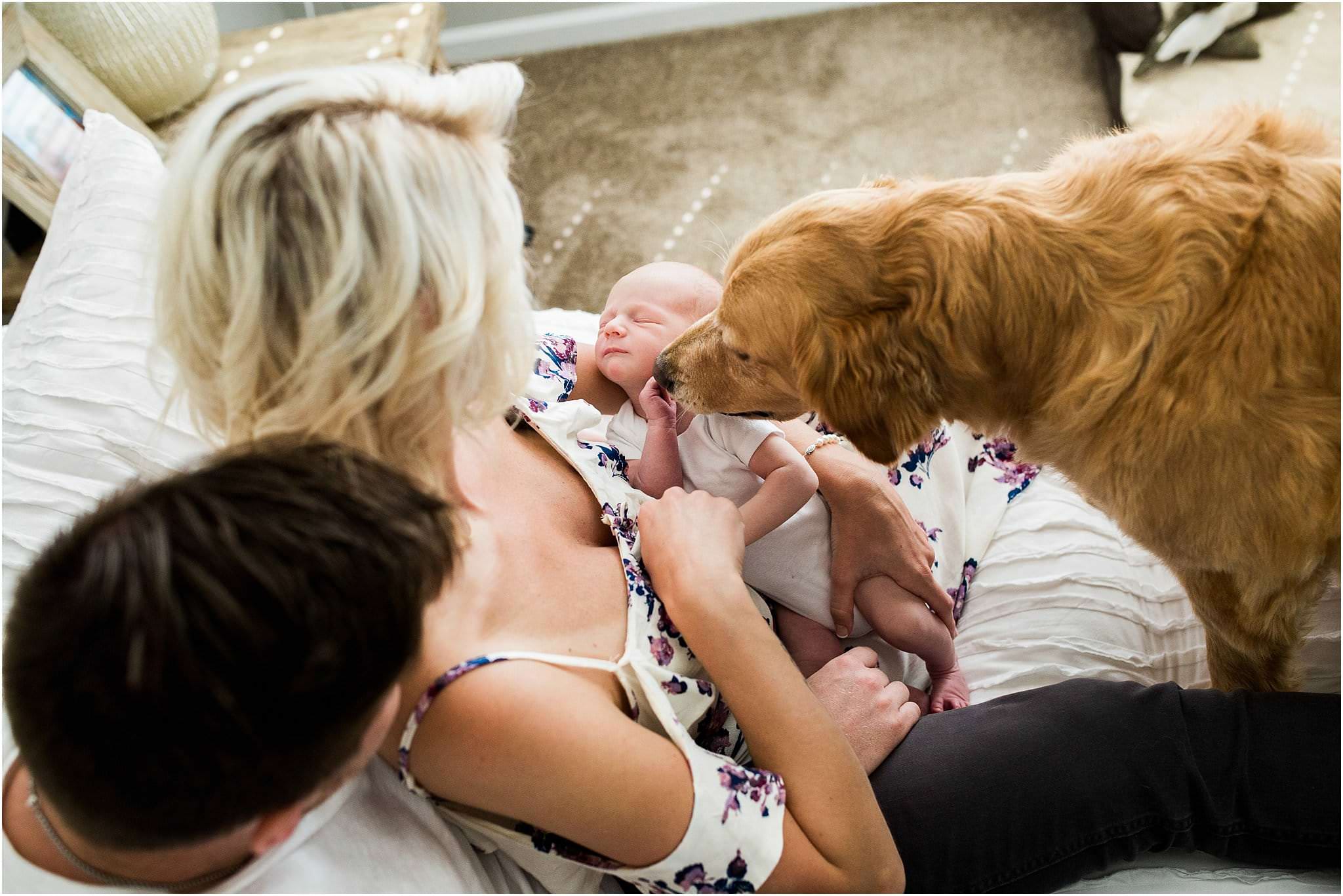 At Home Newborn Photos in Pittsburgh