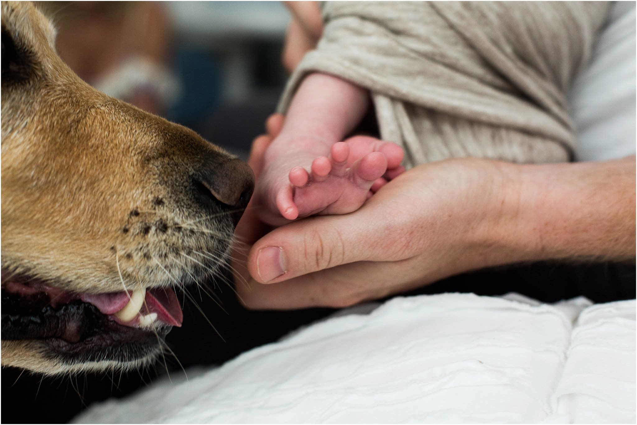 puppy and baby toes