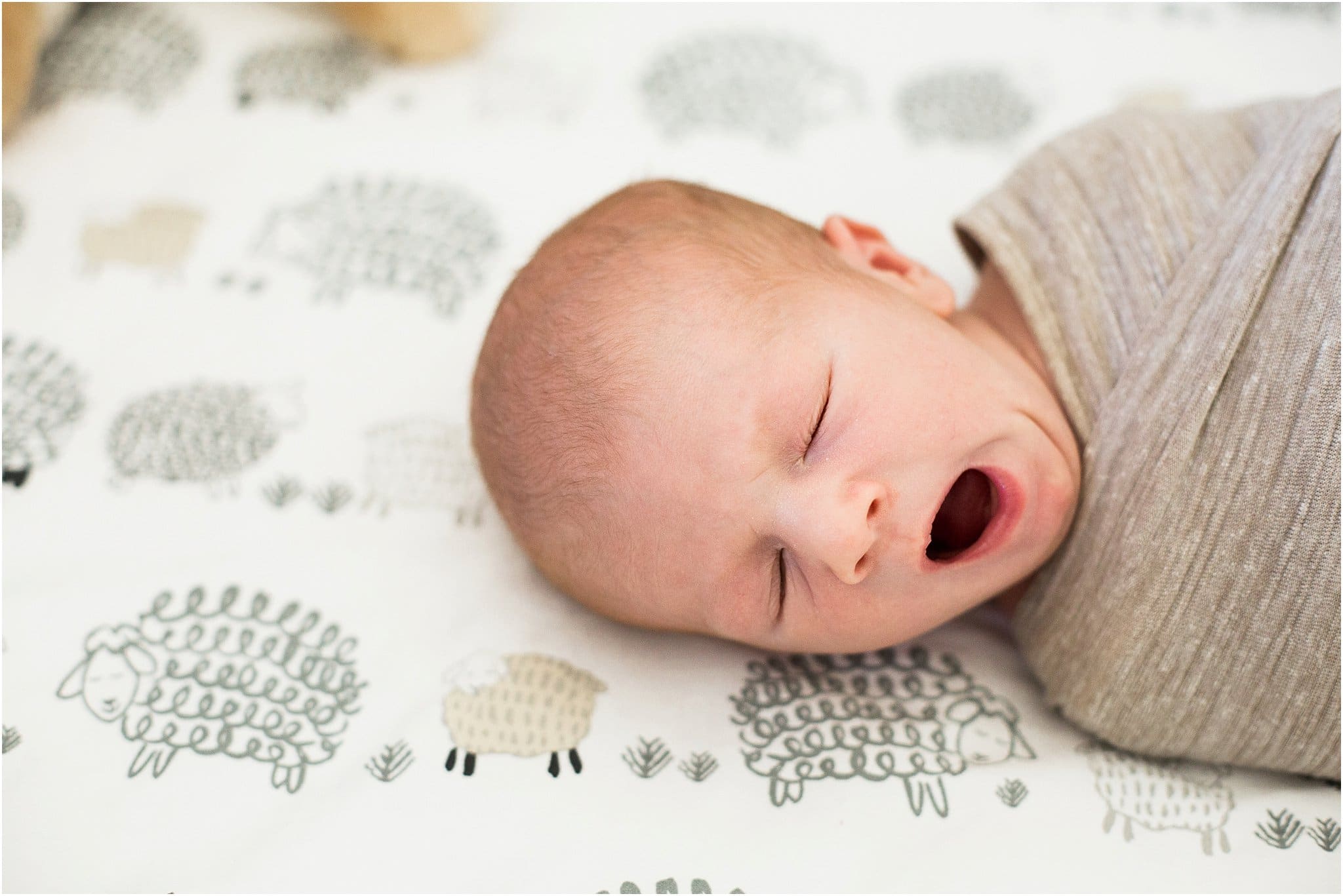 newborn baby yawning in crib with  Pottery Barn sheep sheets