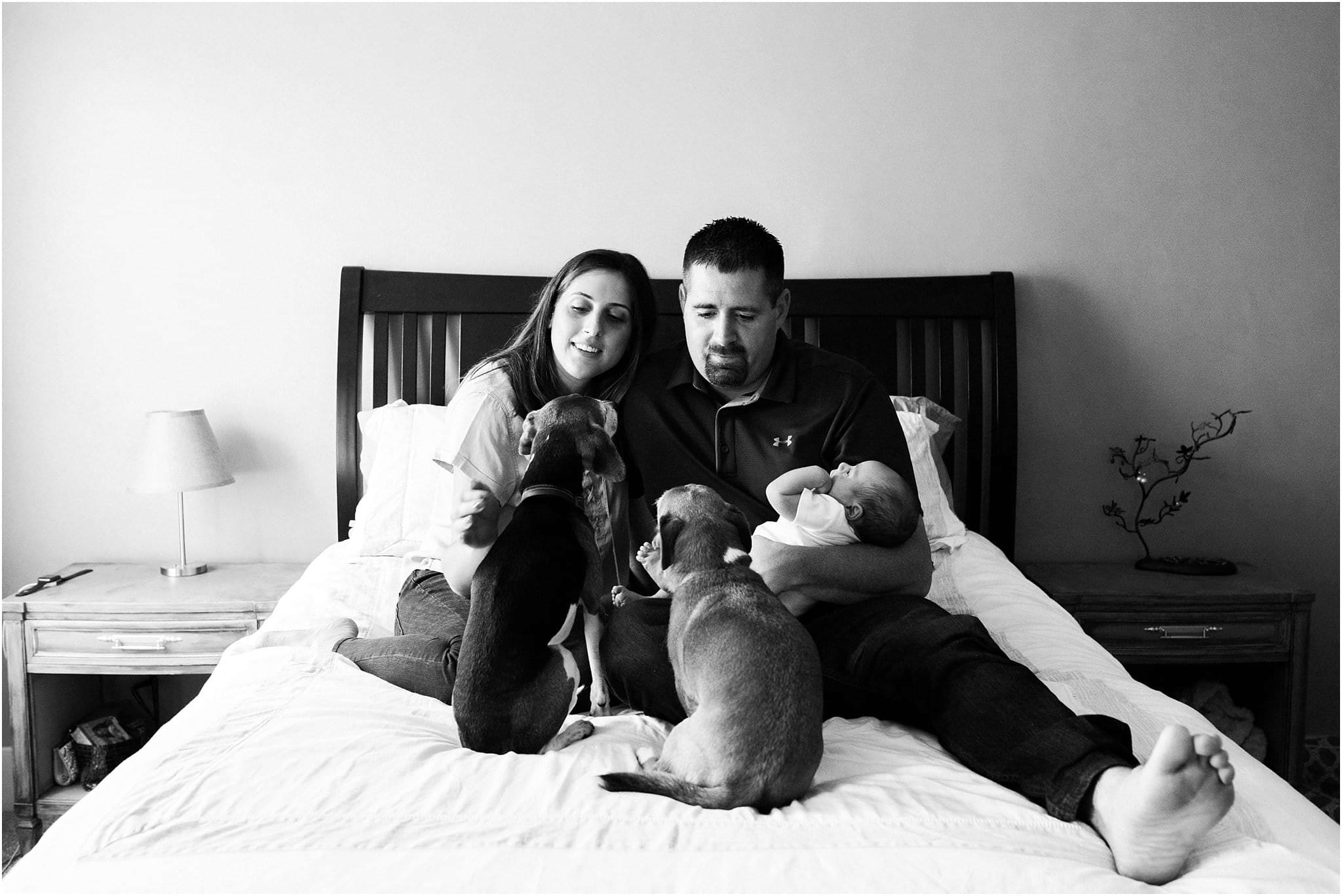 family newborn photo at home including dogs