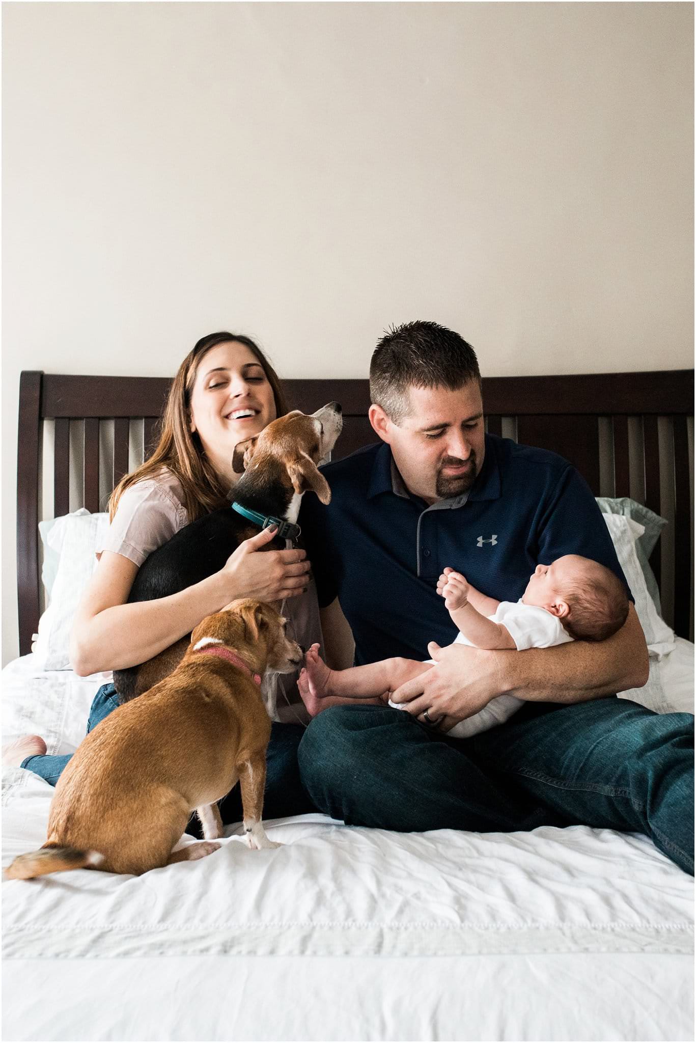 family newborn photo at home including dogs