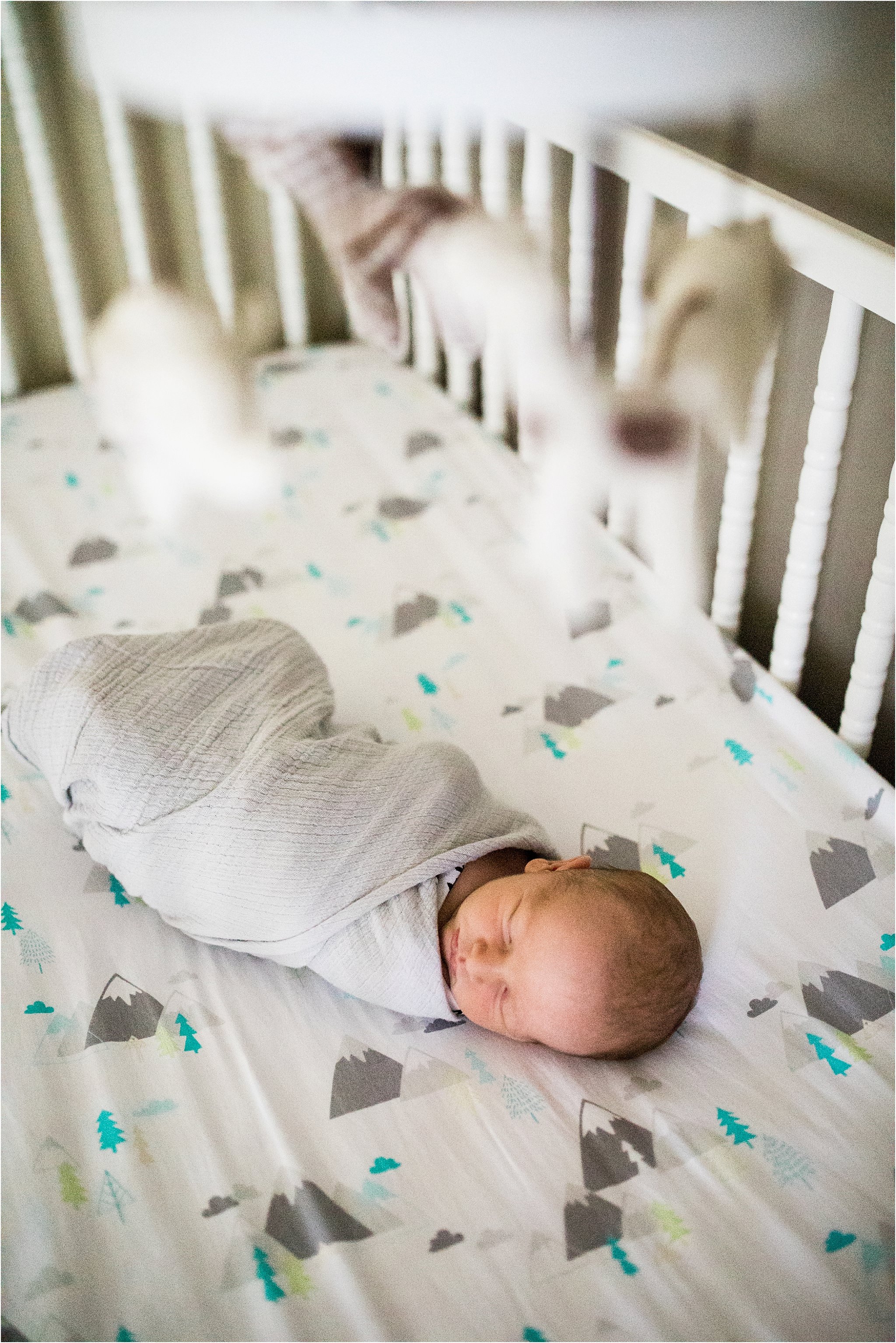 newborn sleeping in crib