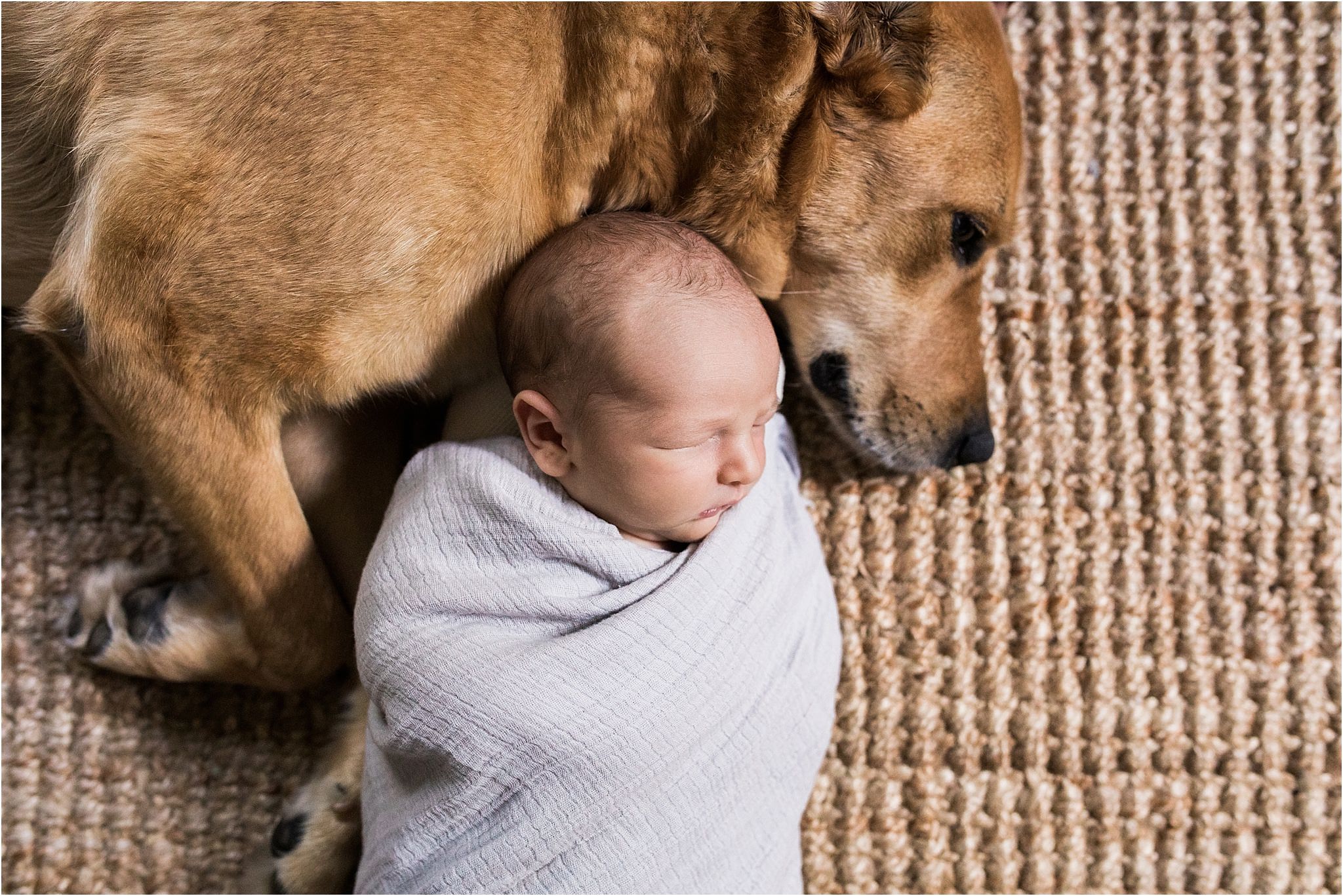newborn cuddling with family dog