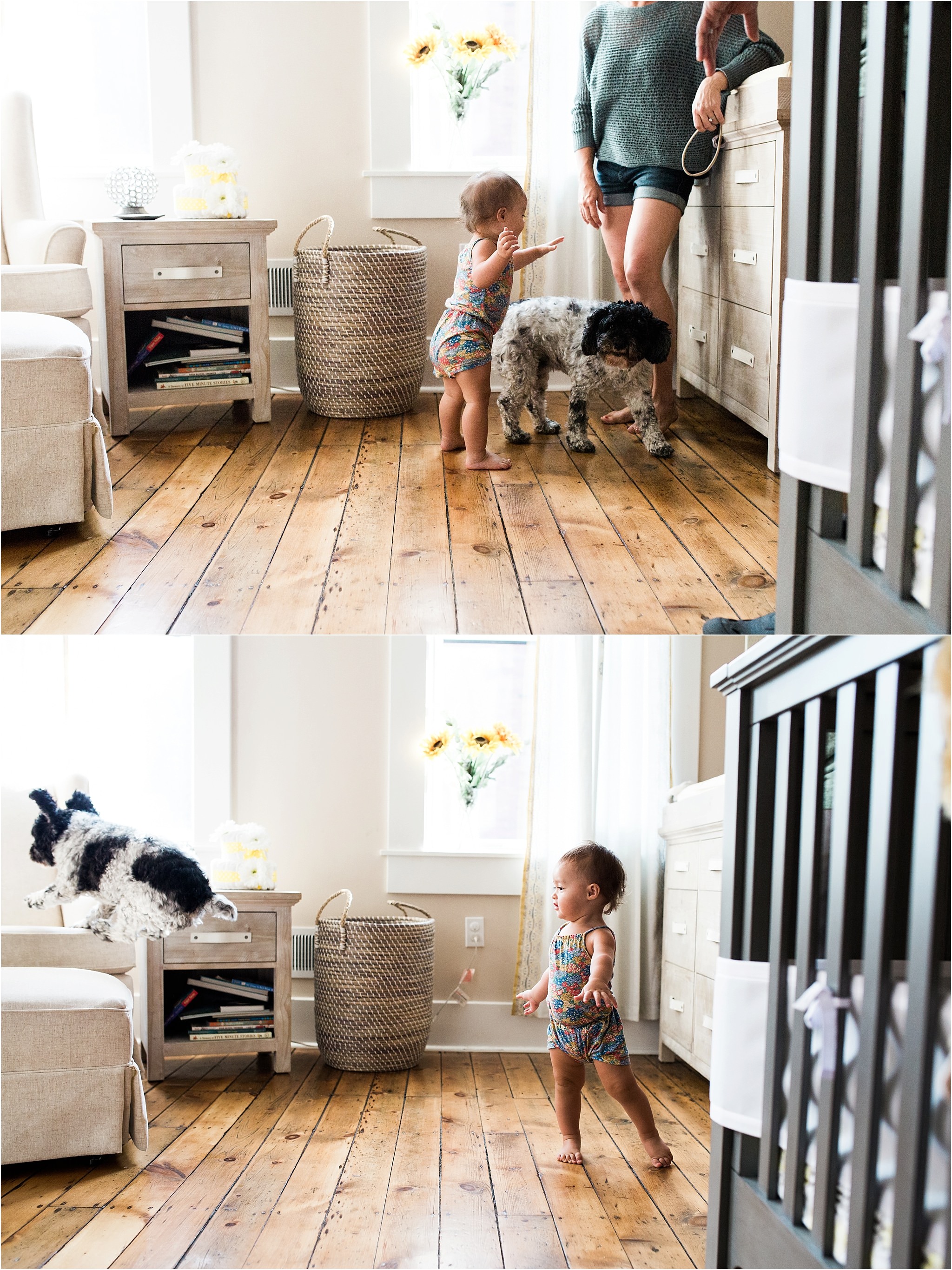 baby girl and family dog in nursery