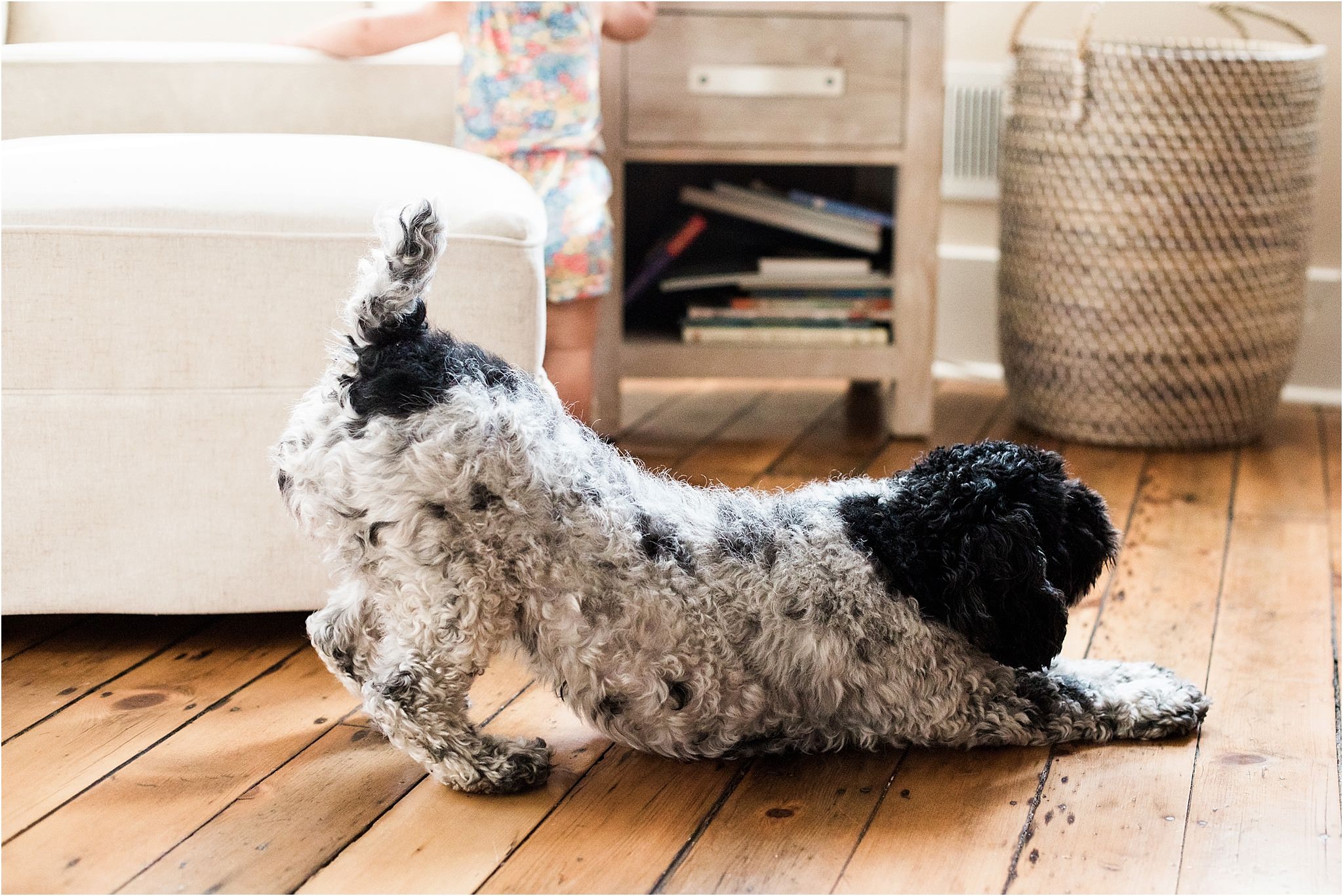 family dog in yoga pose