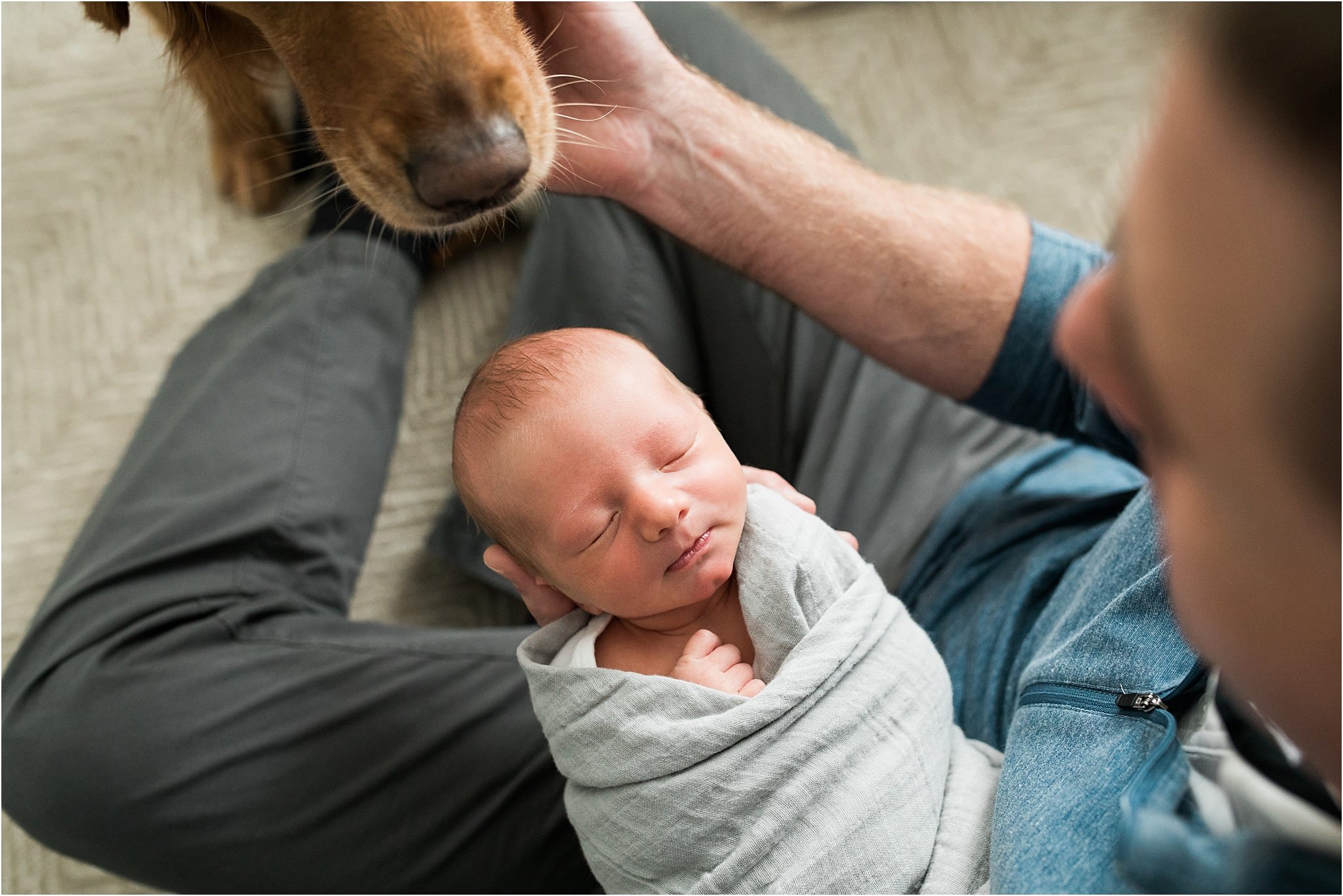 family golden retriever with newborn