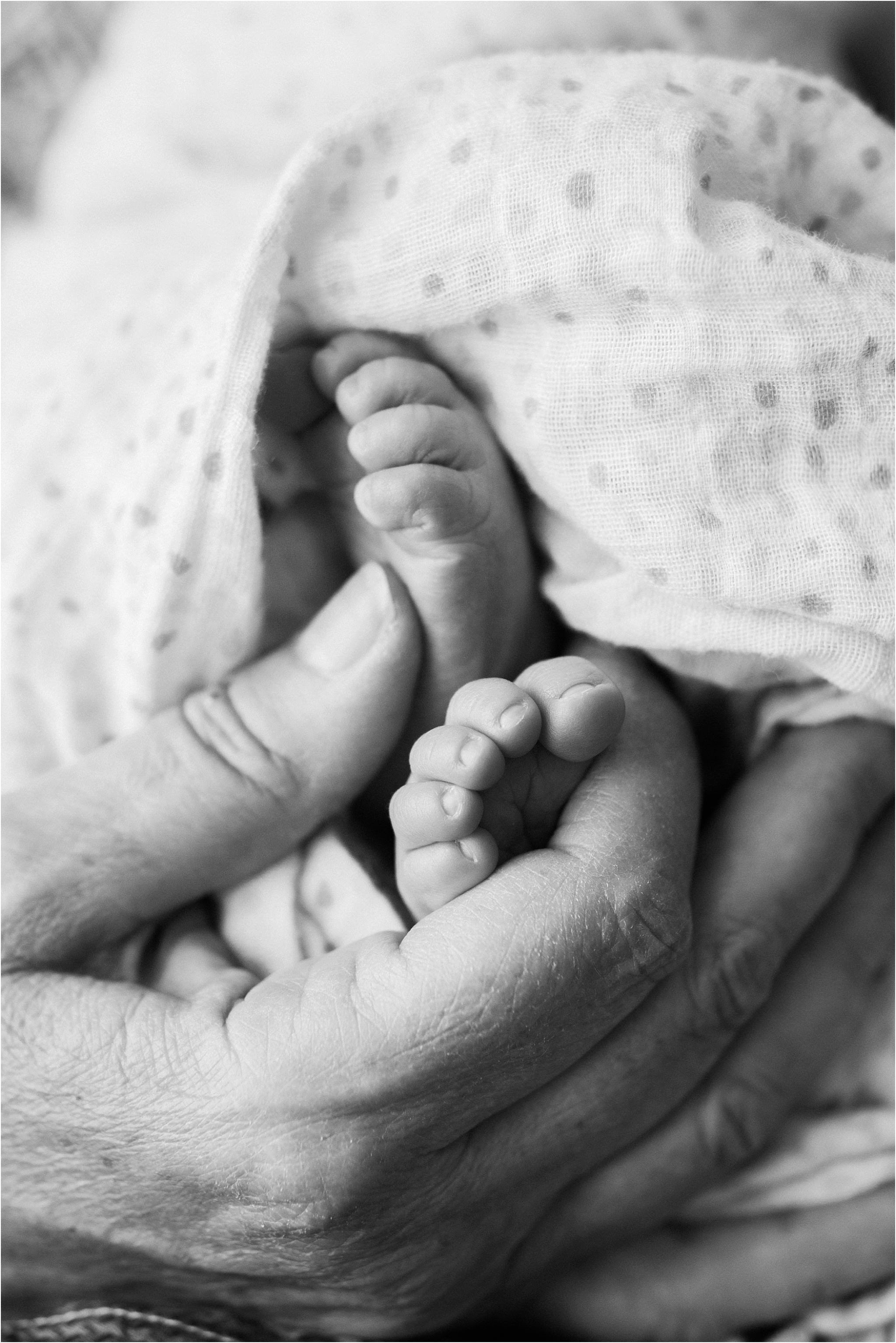 grandmothers hands holding newborn baby toes