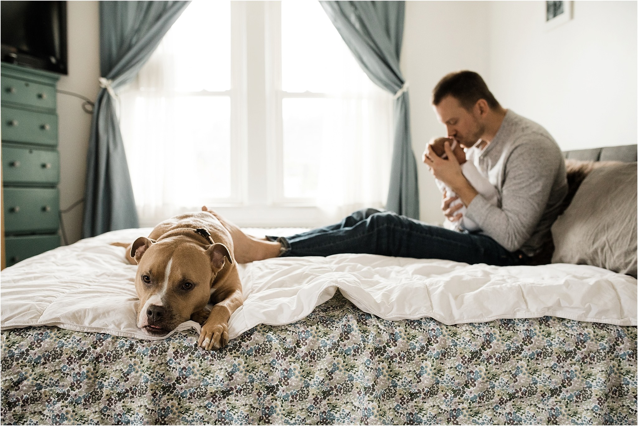 family dog during newborn session 