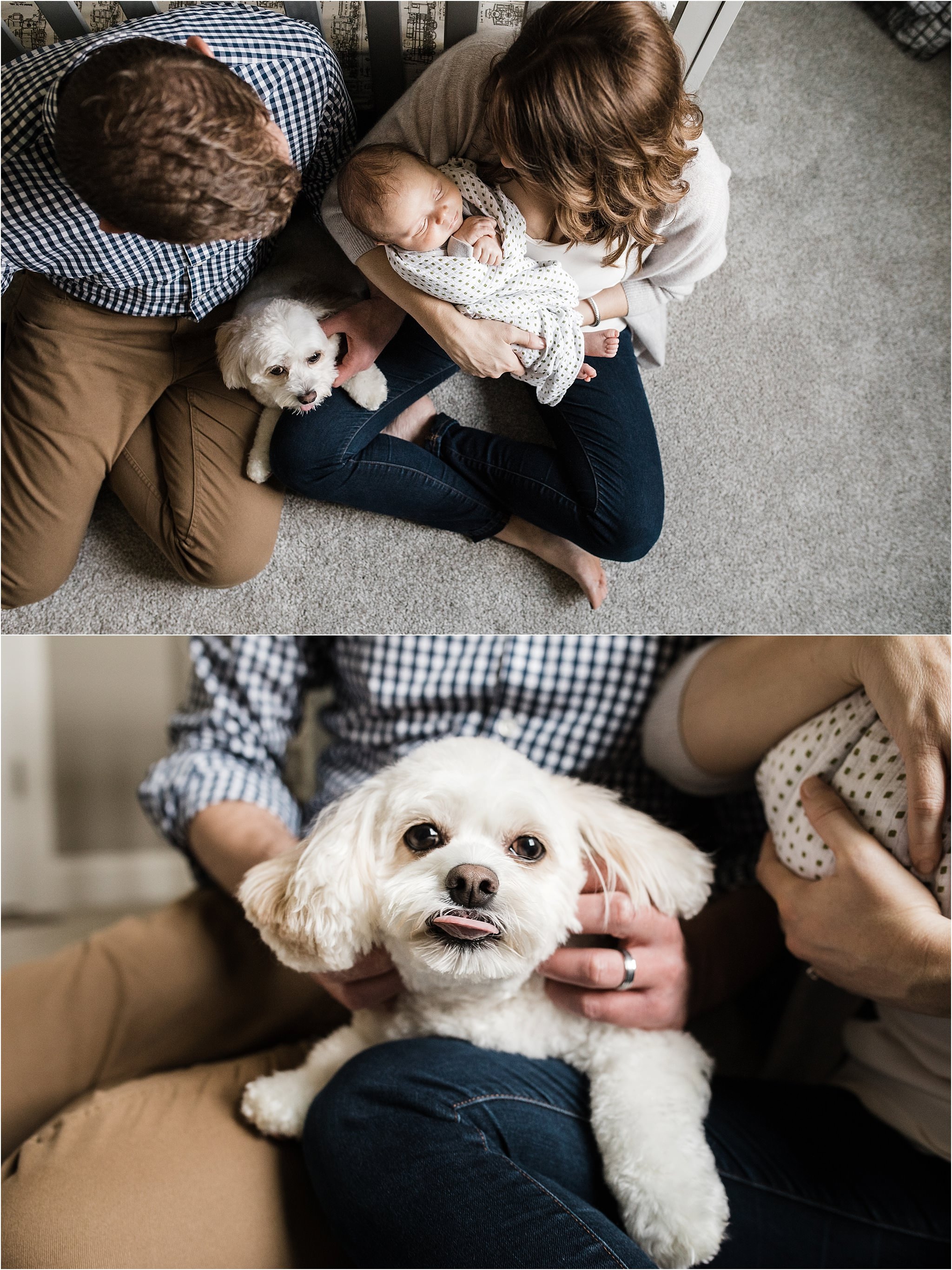 parents holding family dog and newborn baby