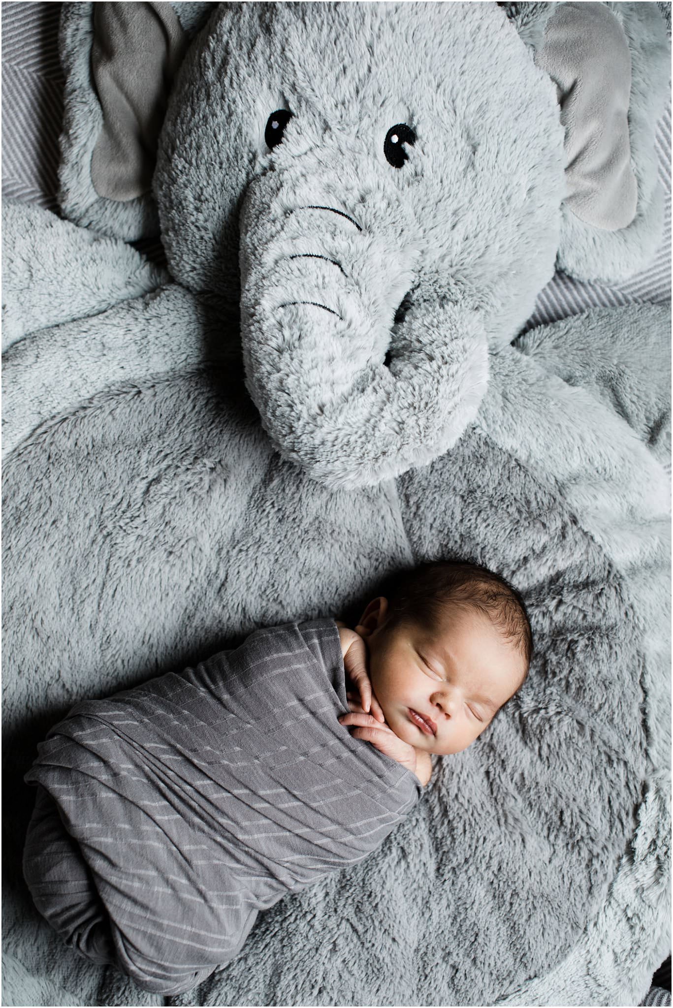 swaddled newborn baby on pottery barn elephant blanket