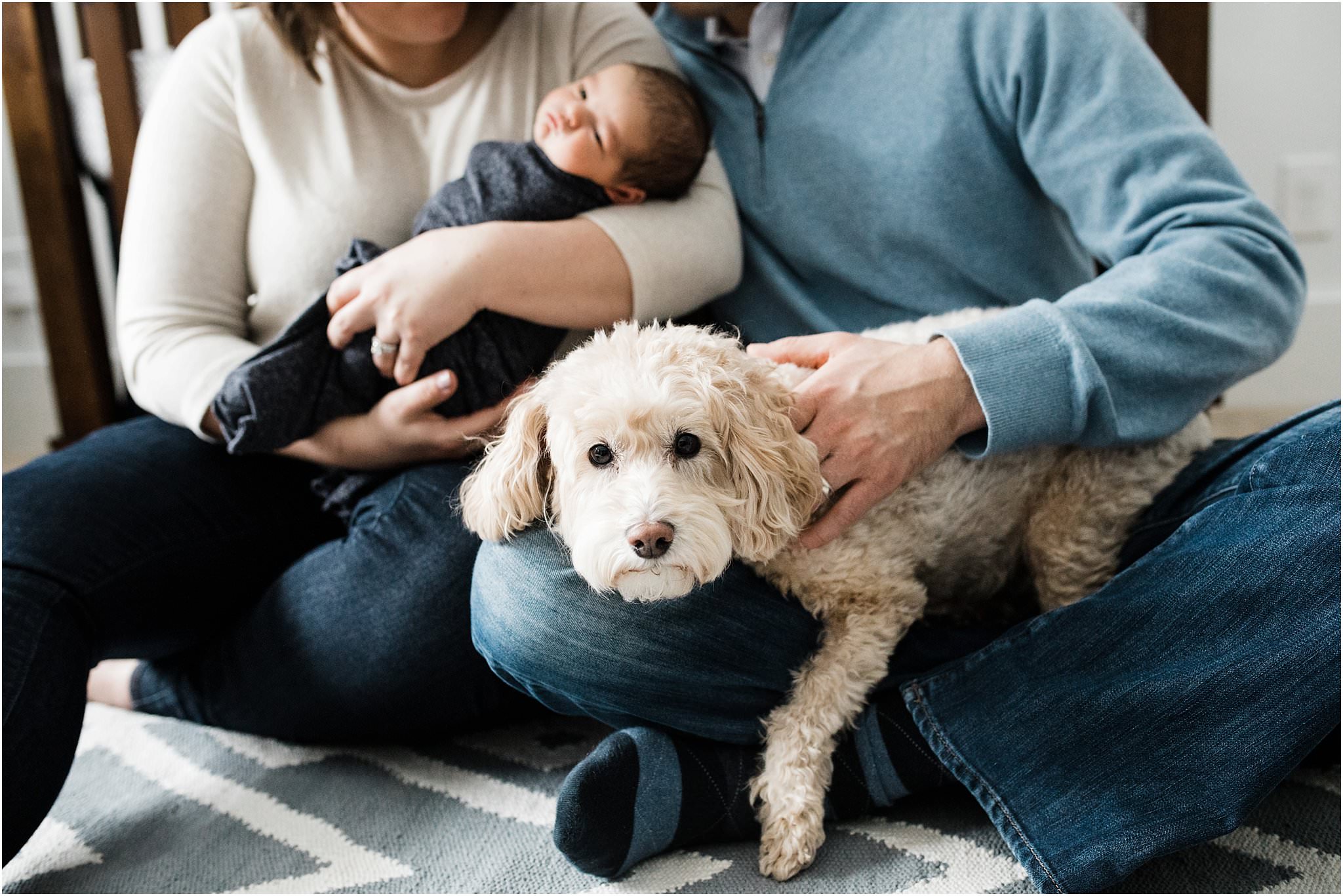 family dog at newborn session