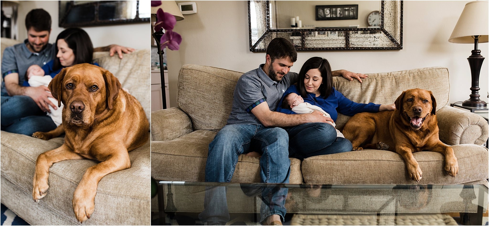 natural newborn photos at home with family dog