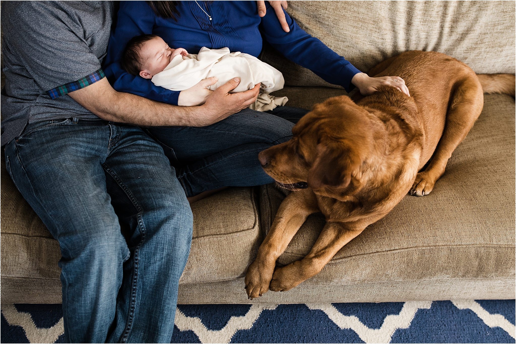 natural newborn photos at home with family dog