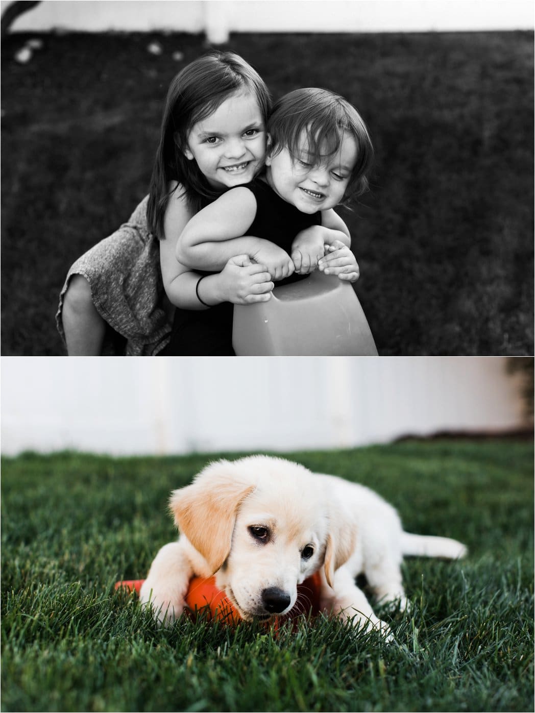 childhood and puppy portraits