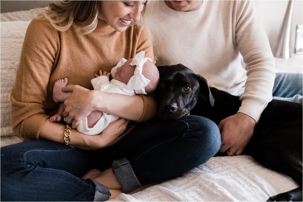 family dog and newborn baby held by parents