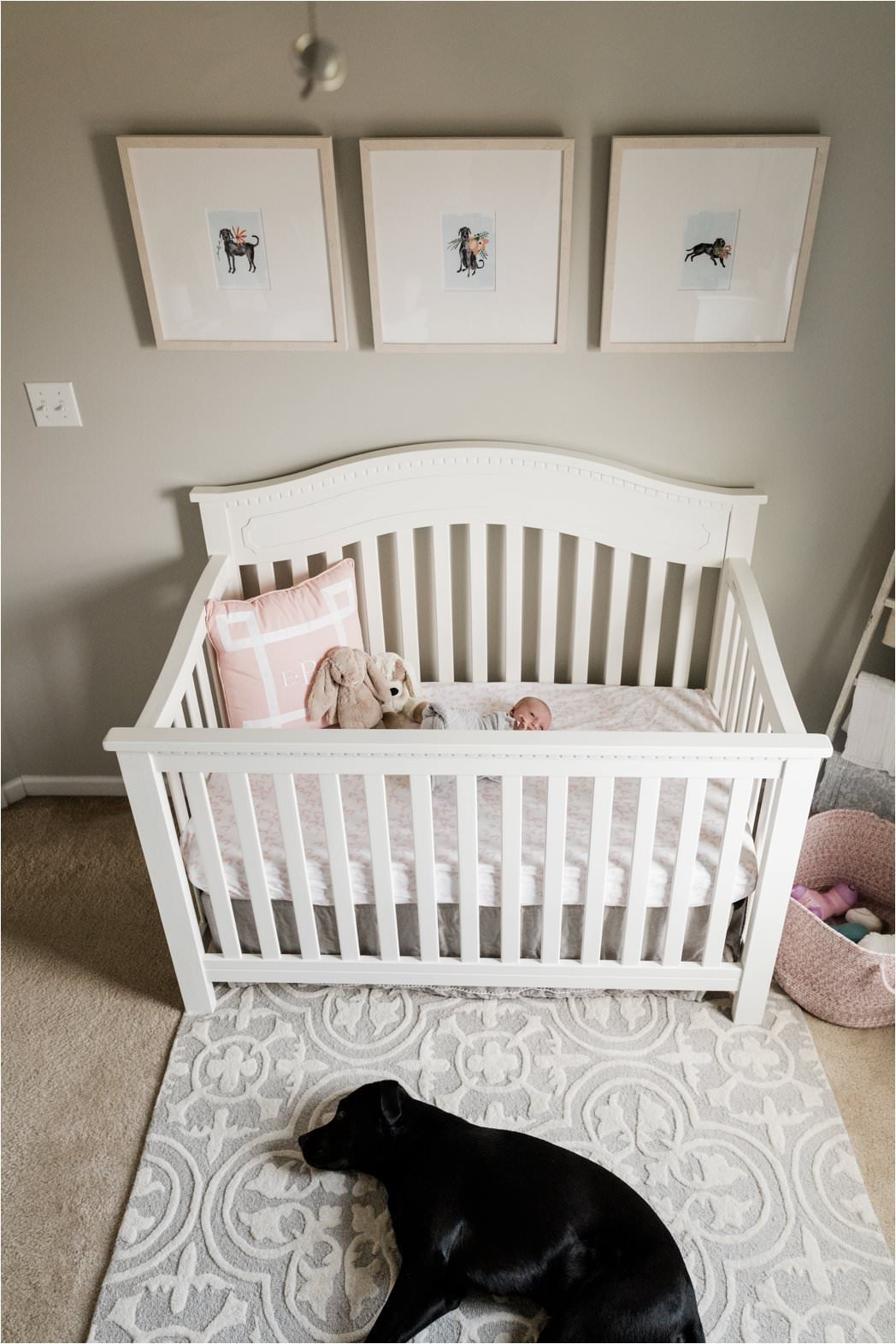 black lab sleeping outside crib with newborn baby girl