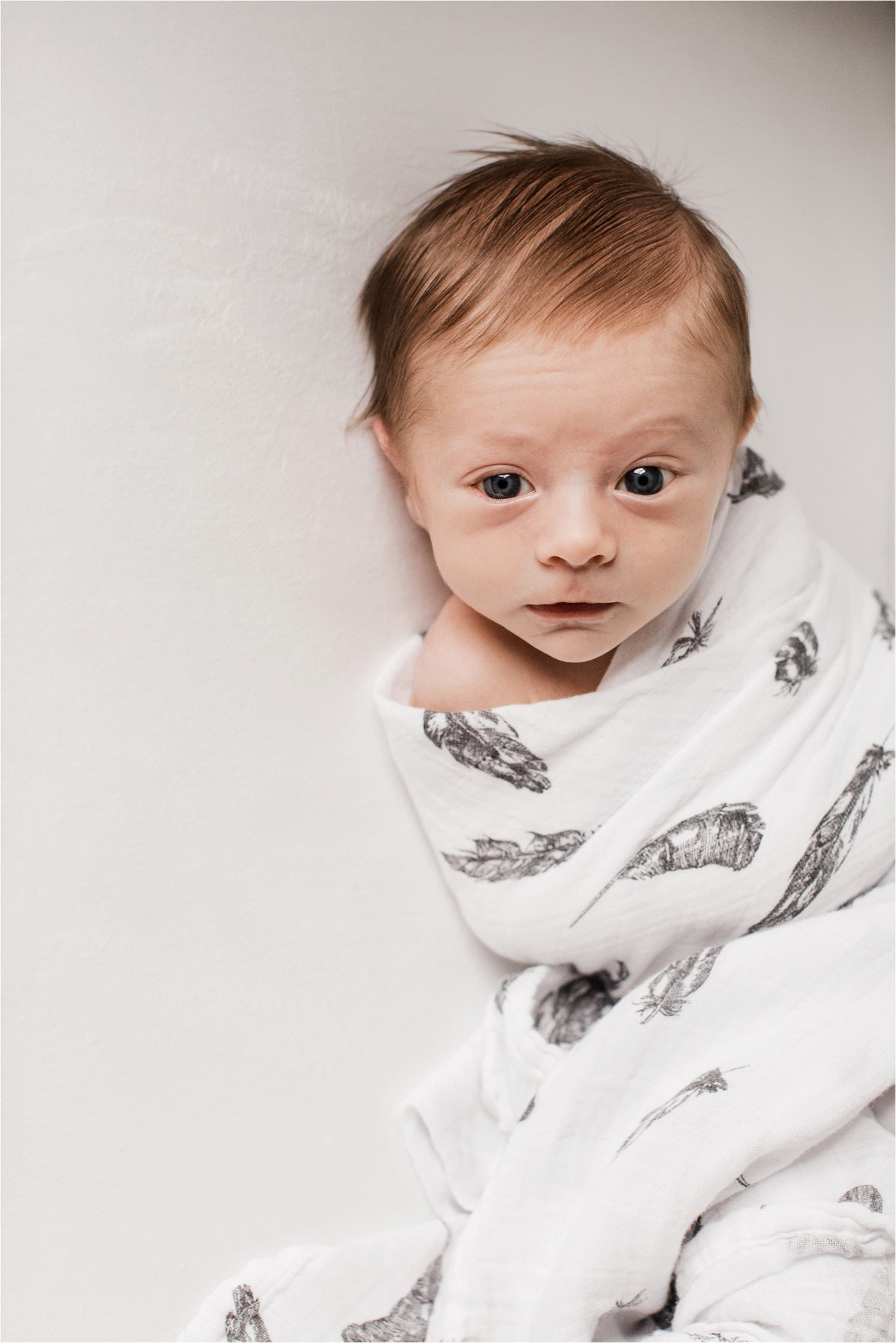 natural newborn portrait of baby boy in upsimples baby feather swaddle blanket