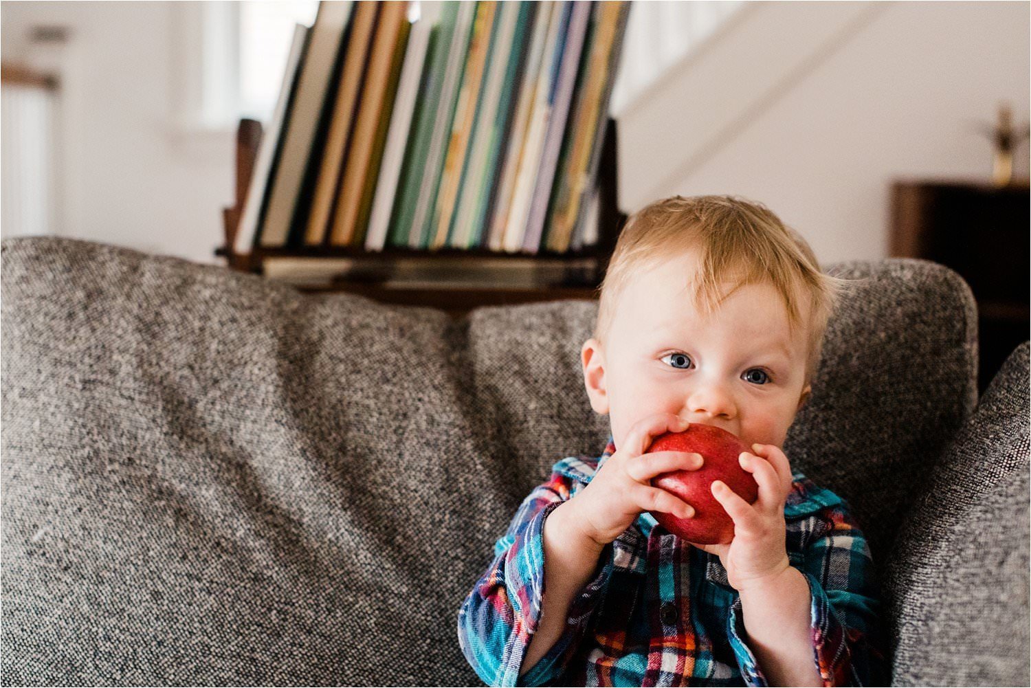 portrait of toddler eating an apple