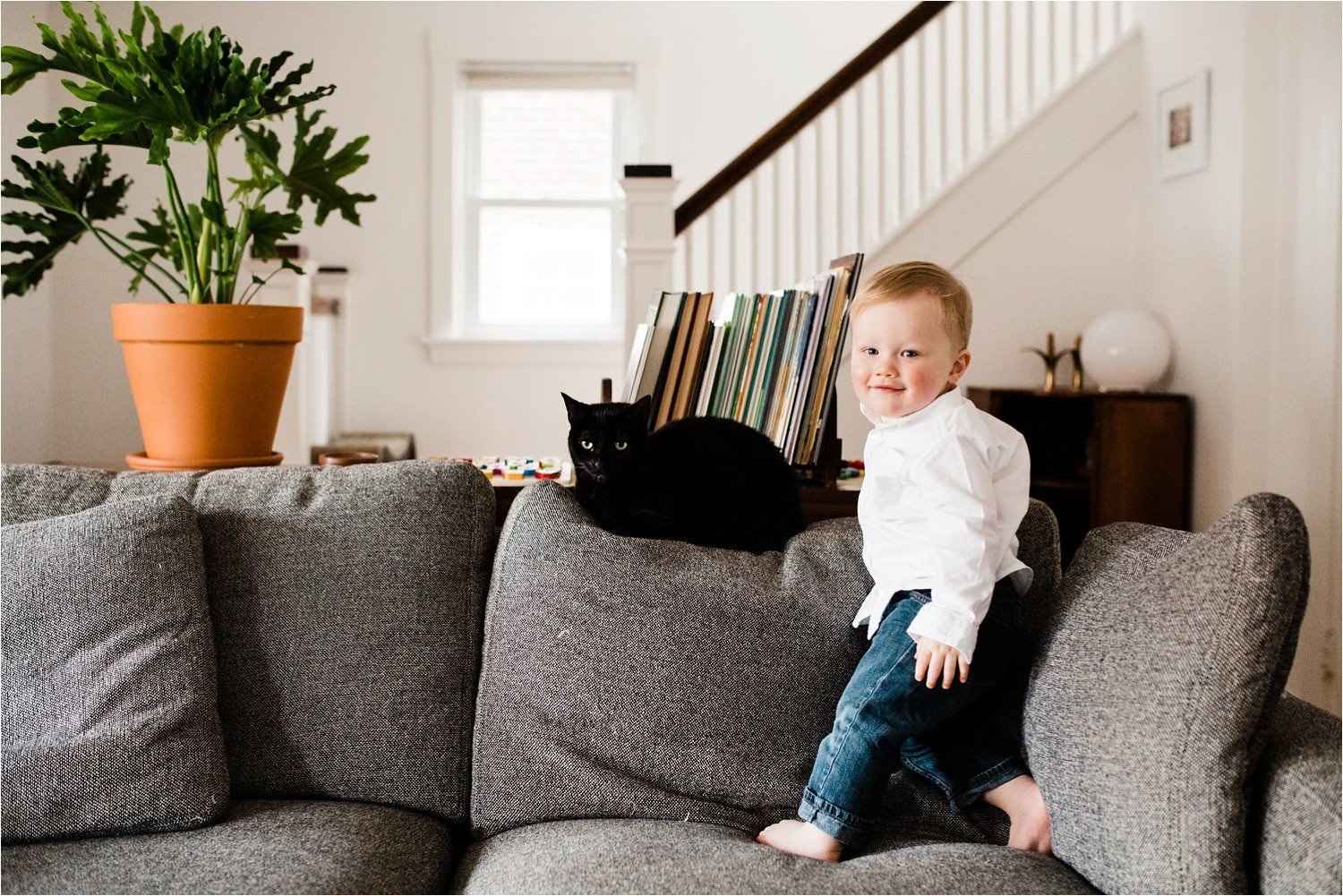 Family photos at home of toddler and cat in living room