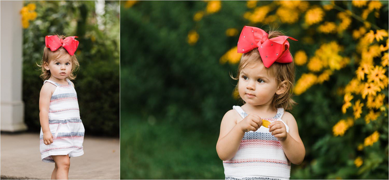 toddler portraits