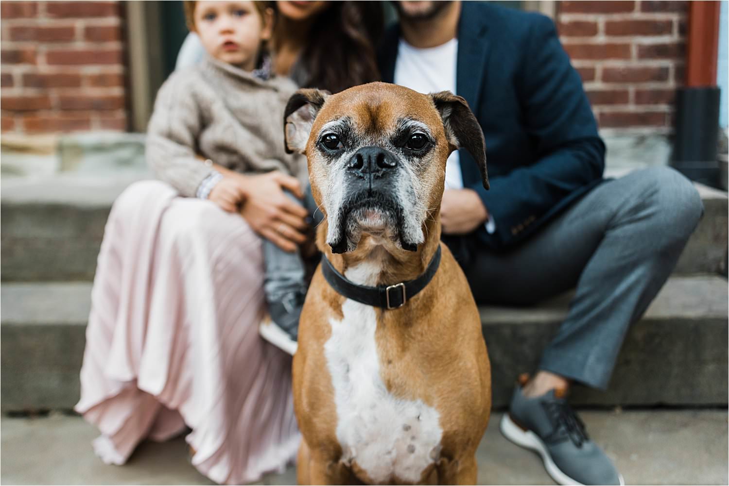 portrait of family dog with family in background