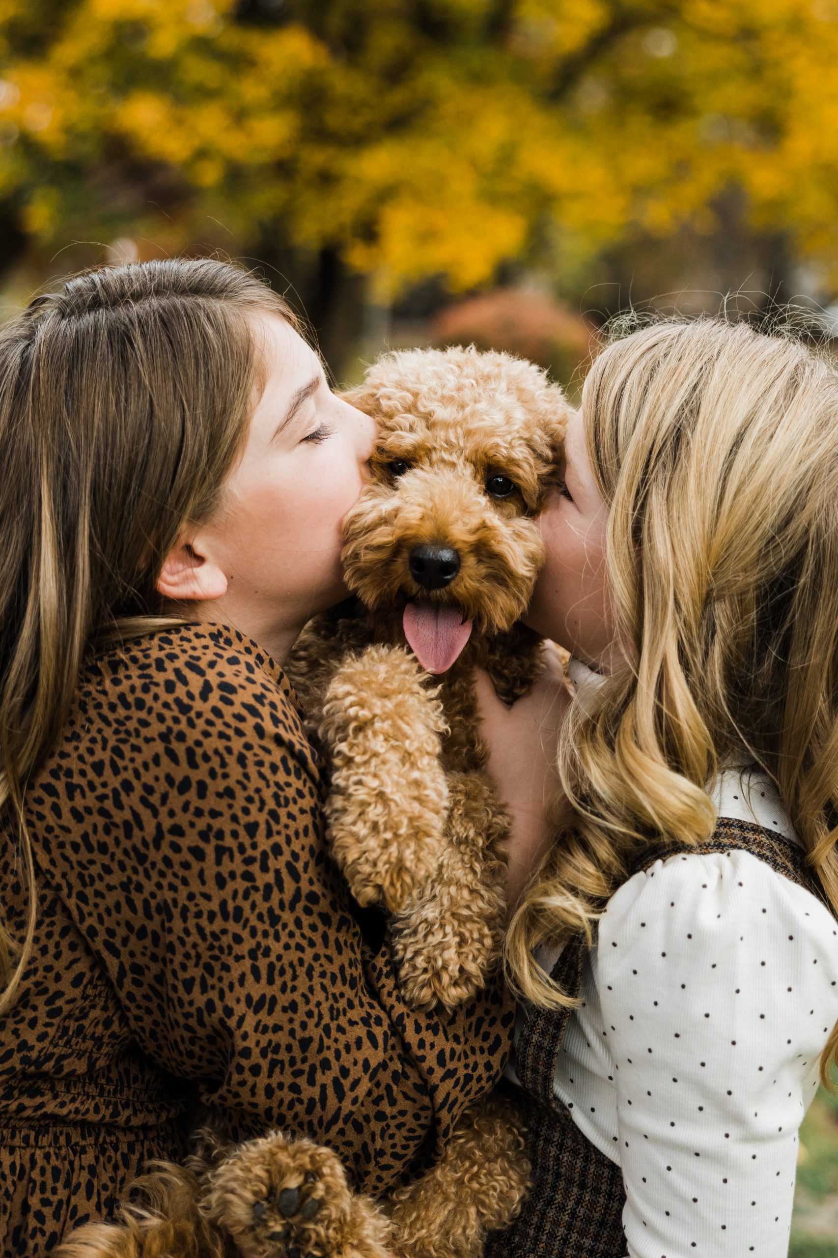 Pittsburgh Family Photographer