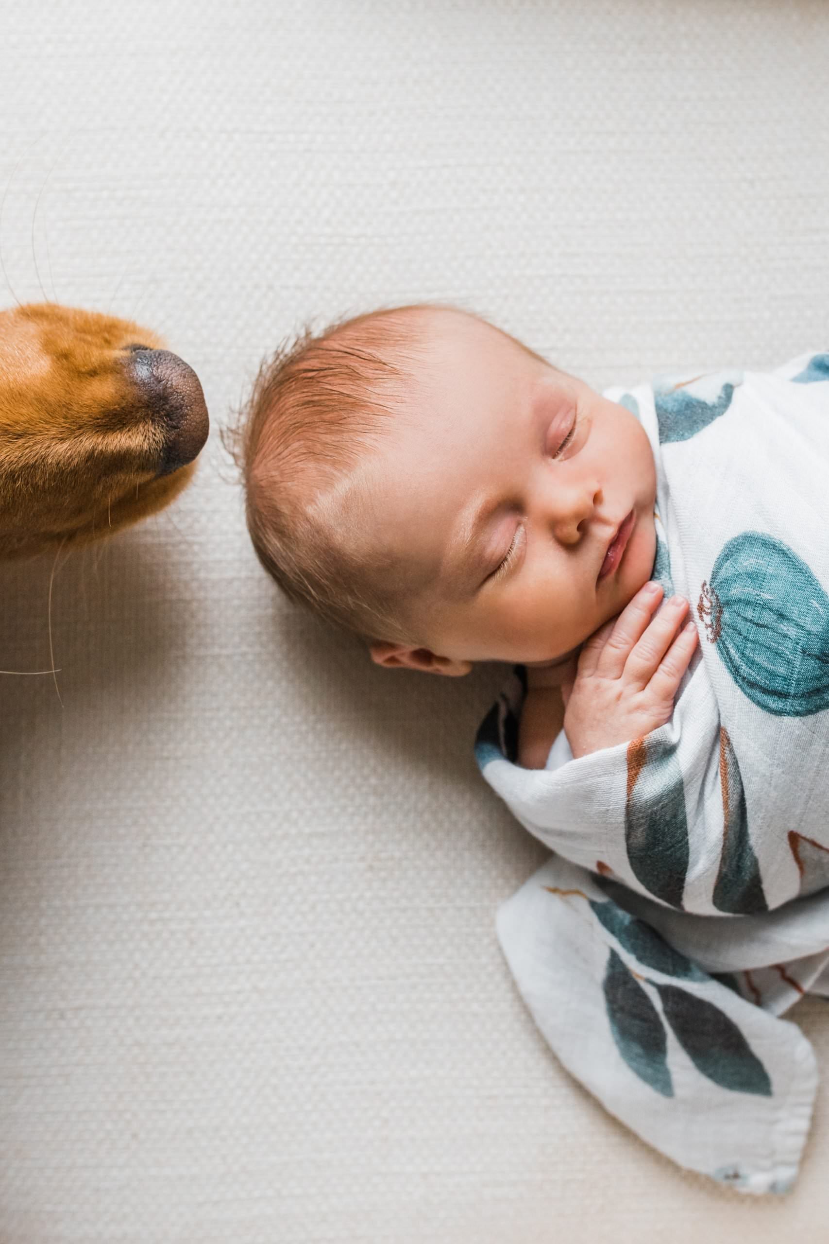 Pittsburgh Newborn Photographer