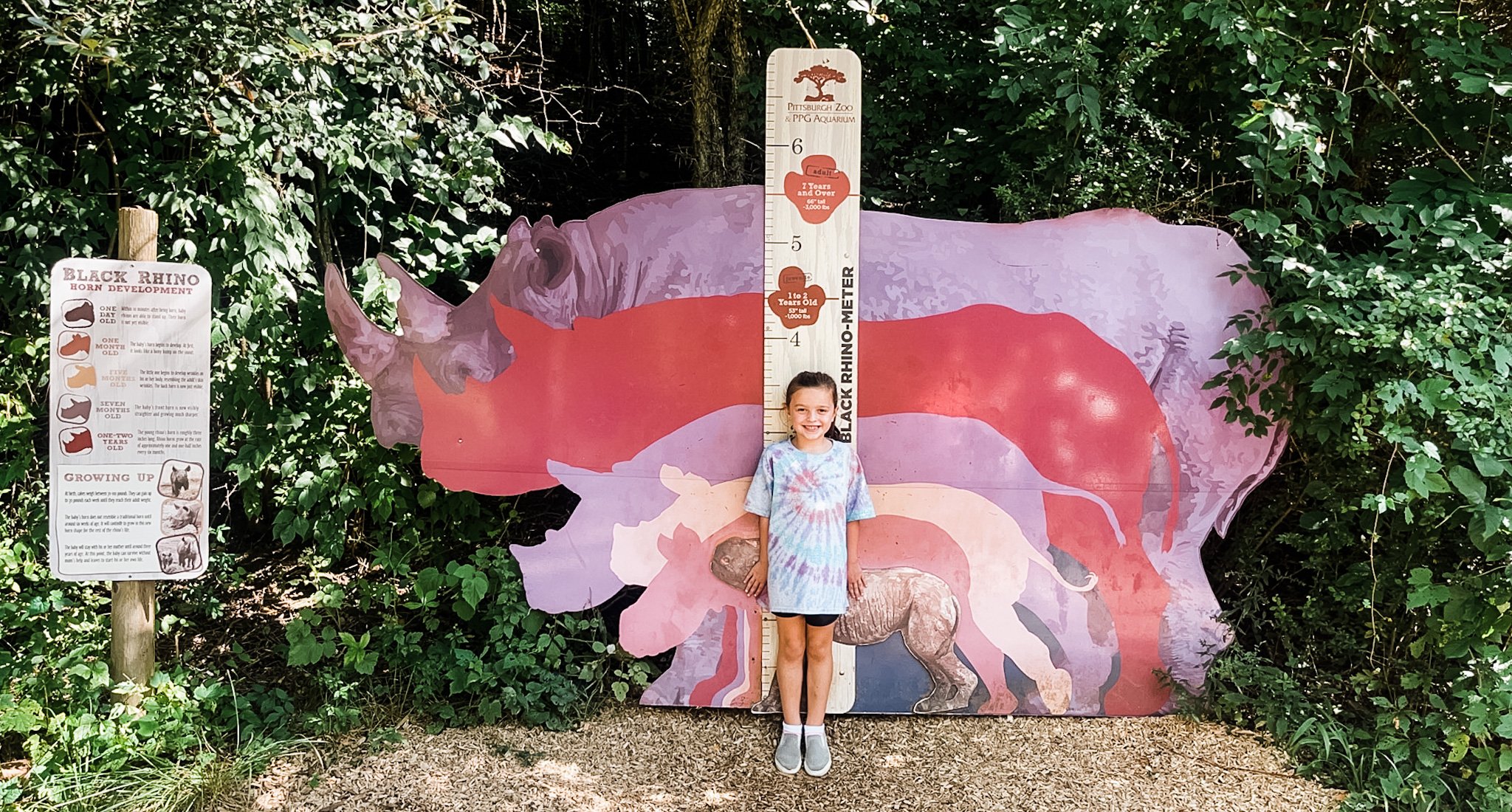 mobile photography and editing presets for moms